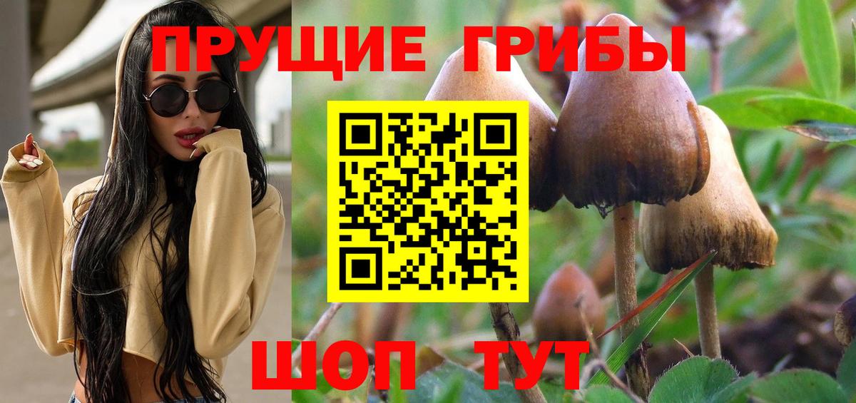 Галлюциногенные грибы Psilocybine cubensis Узловая